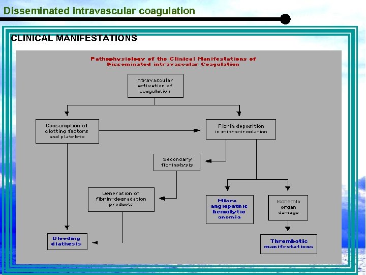 Disseminated intravascular coagulation CLINICAL MANIFESTATIONS 