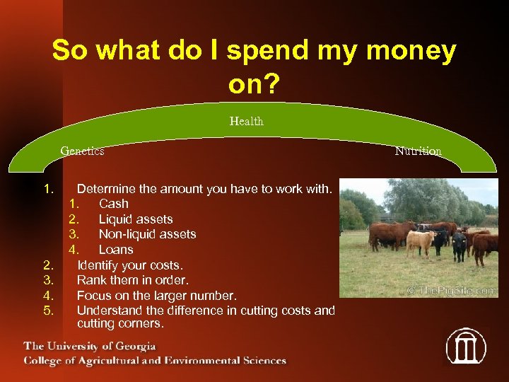 So what do I spend my money on? Health Genetics 1. 2. 3. 4.