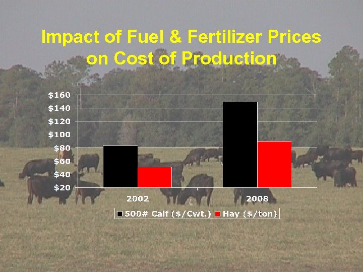Impact of Fuel & Fertilizer Prices on Cost of Production 