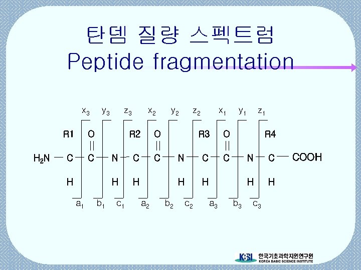 탄뎀 질량 스펙트럼 Peptide fragmentation x 3 R 1 H 2 N C z