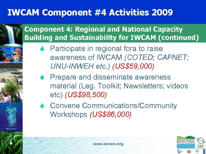 IWCAM Component #4 Activities 2009 Component 4: Regional and National Capacity Building and Sustainability