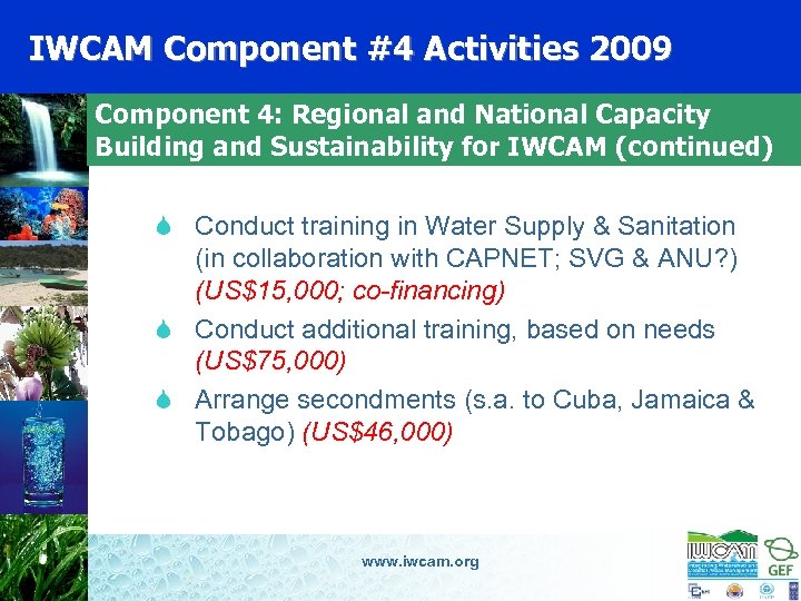 IWCAM Component #4 Activities 2009 Component 4: Regional and National Capacity Building and Sustainability