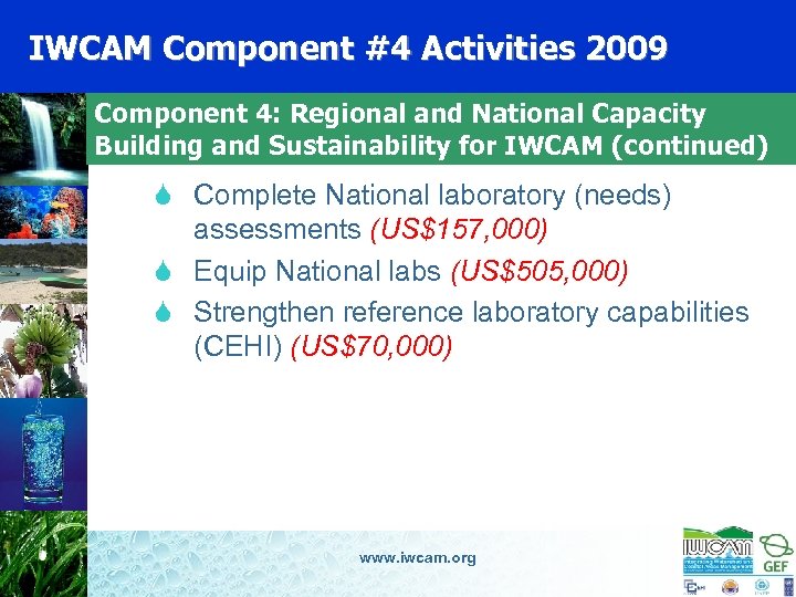 IWCAM Component #4 Activities 2009 Component 4: Regional and National Capacity Building and Sustainability