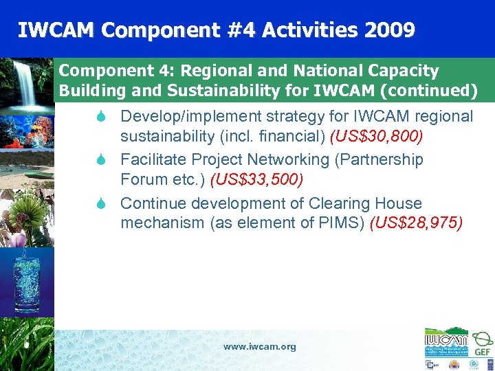 IWCAM Component #4 Activities 2009 Component 4: Regional and National Capacity Building and Sustainability