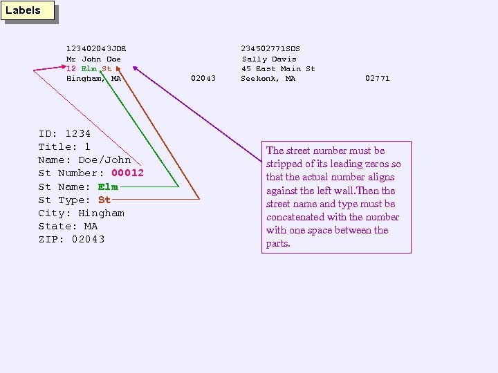 Labels 123402043 JDE Mr John Doe 12 Elm St Hingham, MA ID: 1234 Title: