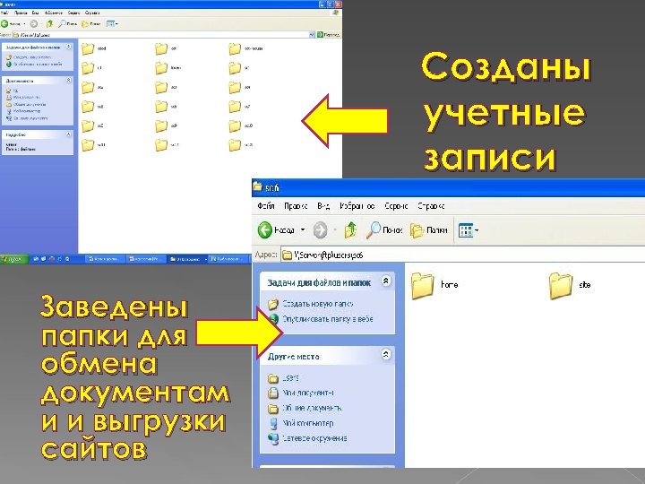Созданы учетные записи Заведены папки для обмена документам и и выгрузки сайтов 