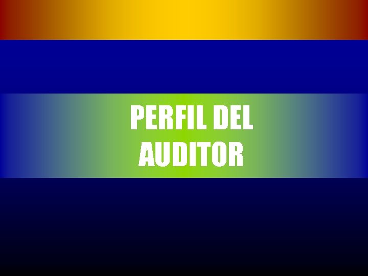 PERFIL DEL AUDITOR 