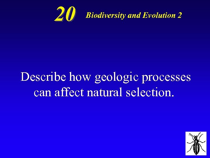 20 Biodiversity and Evolution 2 Describe how geologic processes can affect natural selection. 