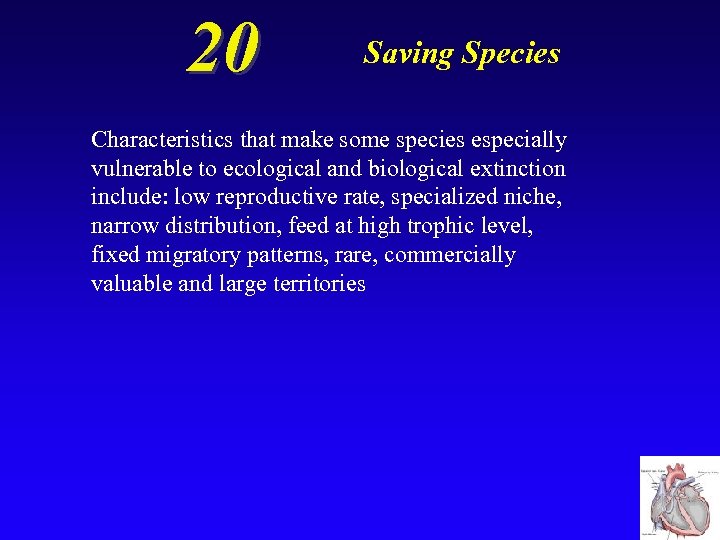 20 Saving Species Characteristics that make some species especially vulnerable to ecological and biological