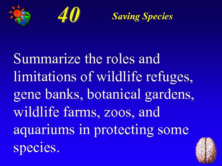 40 Saving Species Summarize the roles and limitations of wildlife refuges, gene banks, botanical