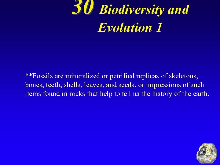 30 Biodiversity and Evolution 1 **Fossils are mineralized or petrified replicas of skeletons, bones,