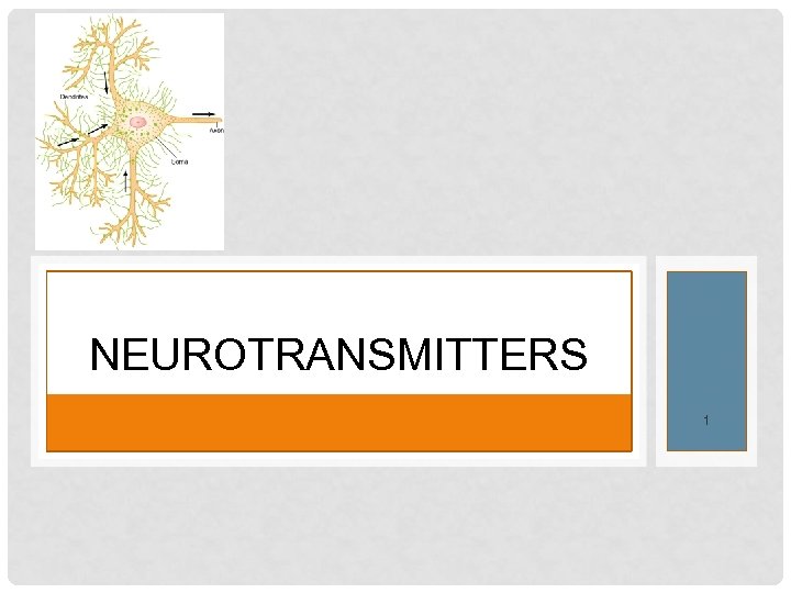 NEUROTRANSMITTERS 1 