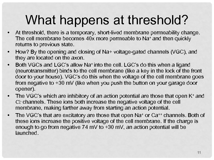 What happens at threshold? • • • At threshold, there is a temporary, short-lived