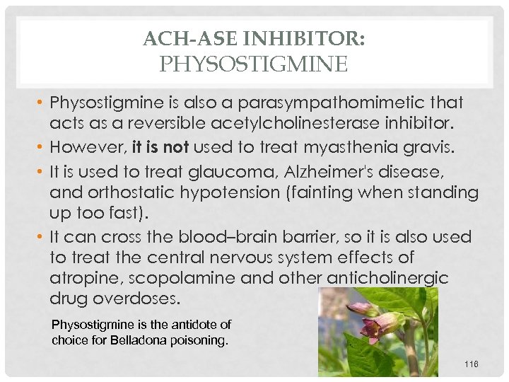 ACH-ASE INHIBITOR: PHYSOSTIGMINE • Physostigmine is also a parasympathomimetic that acts as a reversible