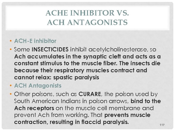 ACHE INHIBITOR VS. ACH ANTAGONISTS • ACH-E inhibitor • Some INSECTICIDES inhibit acetylcholinesterase, so