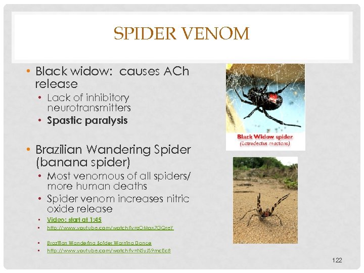 SPIDER VENOM • Black widow: causes ACh release • Lack of inhibitory neurotransmitters •