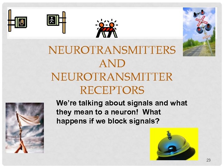 NEUROTRANSMITTERS AND NEUROTRANSMITTER RECEPTORS We’re talking about signals and what they mean to a