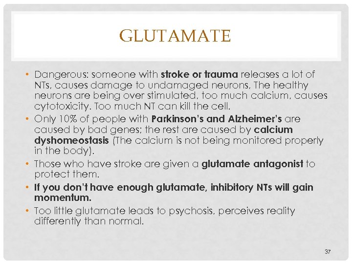GLUTAMATE • Dangerous: someone with stroke or trauma releases a lot of NTs, causes
