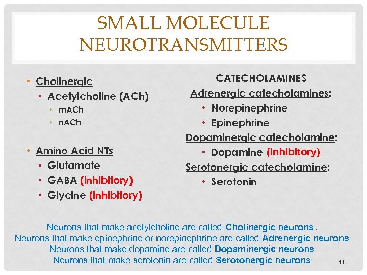 SMALL MOLECULE NEUROTRANSMITTERS • Cholinergic • Acetylcholine (ACh) • m. ACh • n. ACh