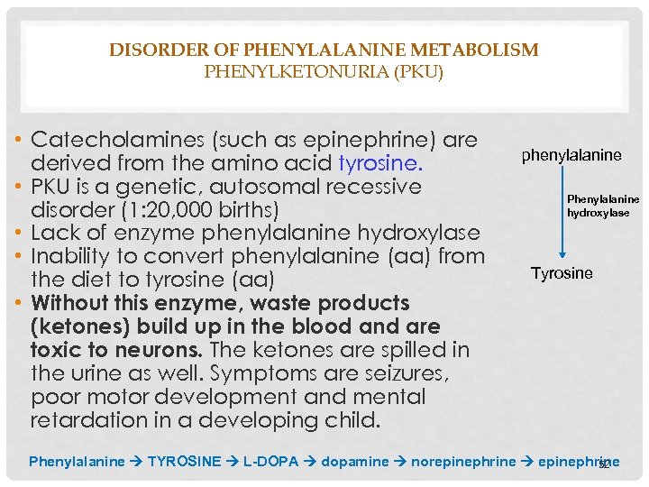 DISORDER OF PHENYLALANINE METABOLISM PHENYLKETONURIA (PKU) • Catecholamines (such as epinephrine) are derived from