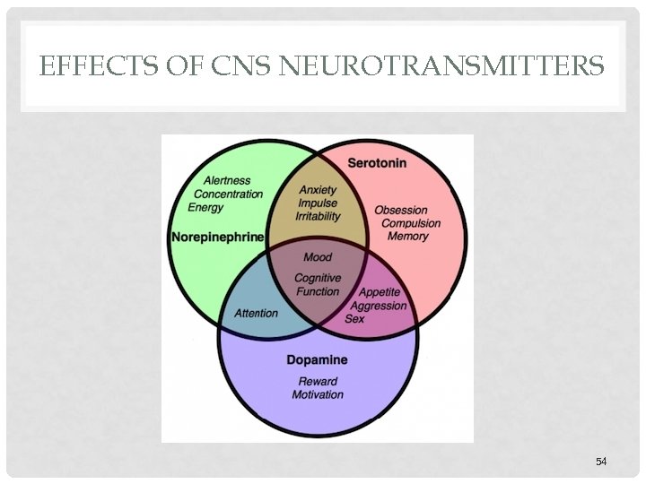 EFFECTS OF CNS NEUROTRANSMITTERS 54 