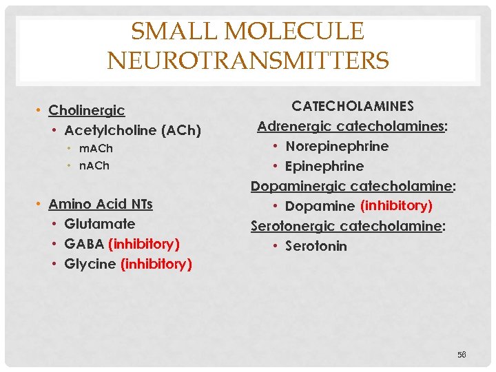 SMALL MOLECULE NEUROTRANSMITTERS • Cholinergic • Acetylcholine (ACh) • m. ACh • n. ACh