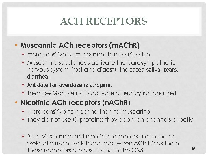 ACH RECEPTORS • Muscarinic ACh receptors (m. ACh. R) • more sensitive to muscarine