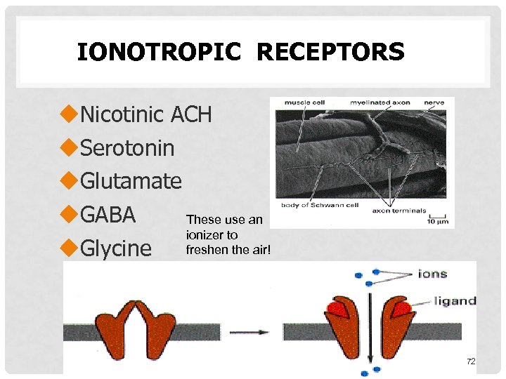 IONOTROPIC RECEPTORS Nicotinic ACH Serotonin Glutamate GABA These use an ionizer to freshen the