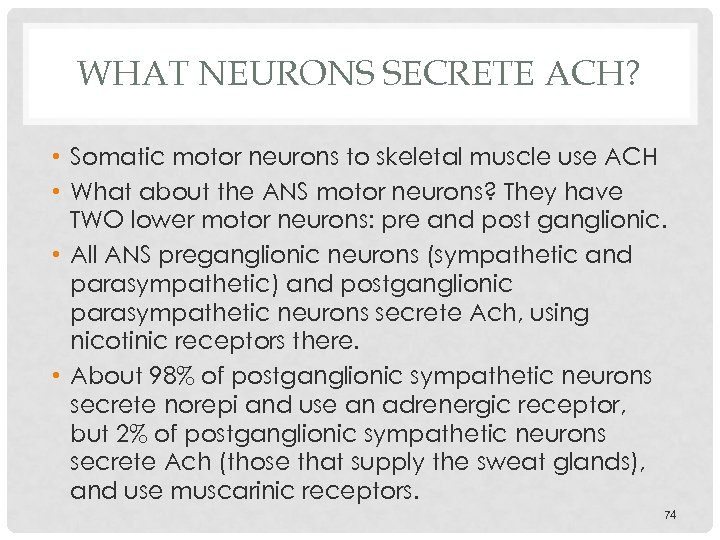 WHAT NEURONS SECRETE ACH? • Somatic motor neurons to skeletal muscle use ACH •