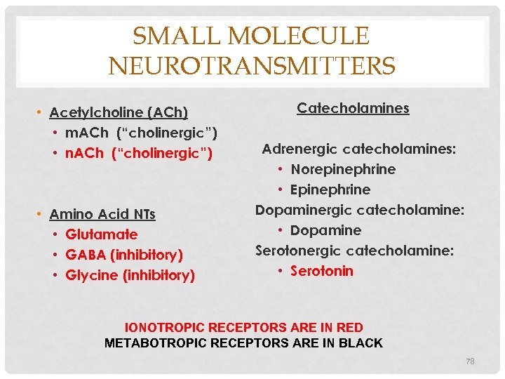 SMALL MOLECULE NEUROTRANSMITTERS • Acetylcholine (ACh) • m. ACh (“cholinergic”) • n. ACh (“cholinergic”)