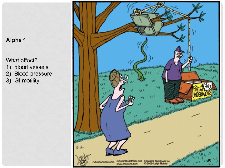 Alpha 1 What effect? 1) blood vessels 2) Blood pressure 3) GI motility 80