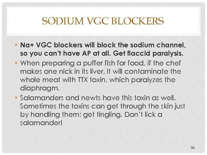 SODIUM VGC BLOCKERS • Na+ VGC blockers will block the sodium channel, so you
