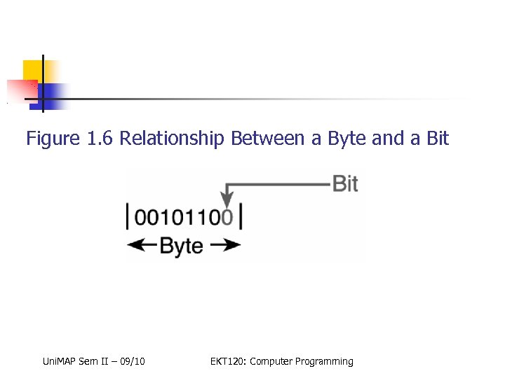 Figure 1. 6 Relationship Between a Byte and a Bit Uni. MAP Sem II