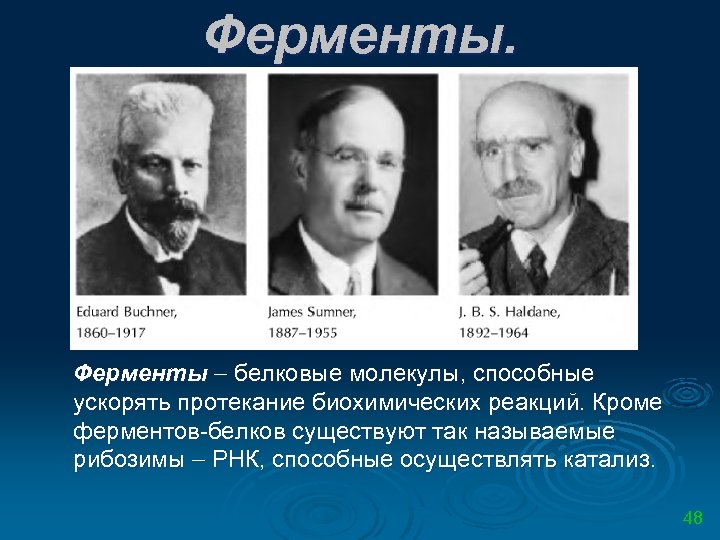 Ферменты. Ферменты белковые молекулы, способные ускорять протекание биохимических реакций. Кроме ферментов белков существуют так