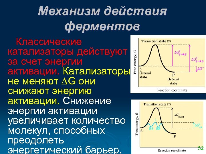 Механизм действия ферментов Классические катализаторы действуют за счет энергии активации. Катализаторы не меняют G