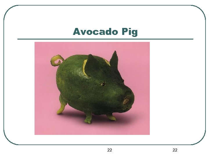 Avocado Pig 22 22 