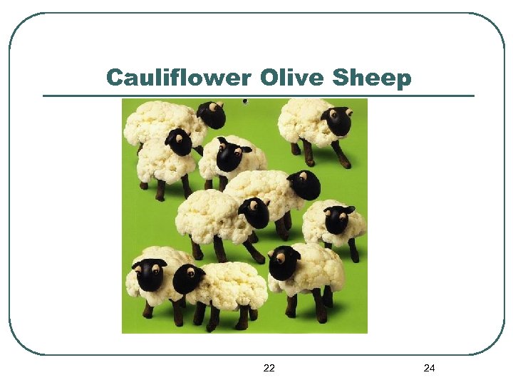 Cauliflower Olive Sheep 22 24 