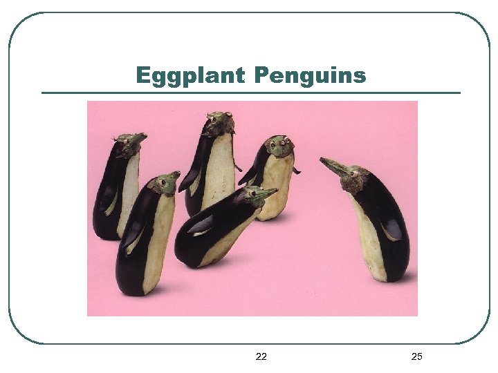 Eggplant Penguins 22 25 