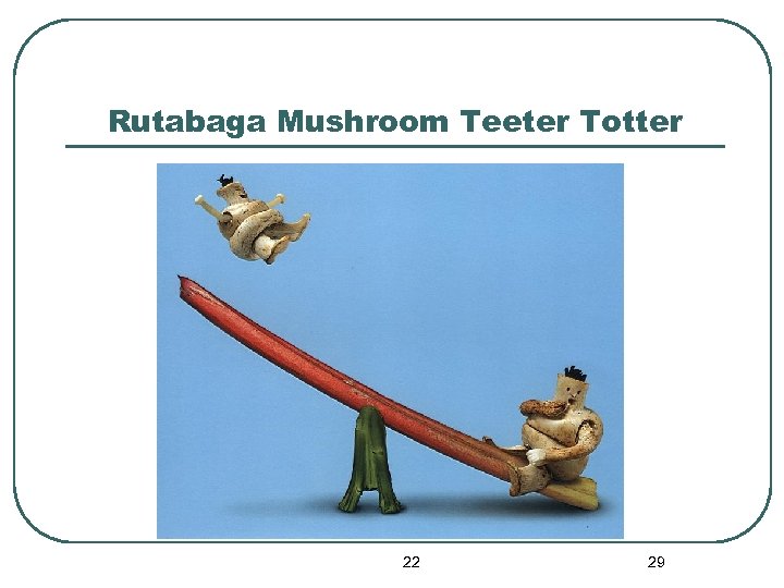 Rutabaga Mushroom Teeter Totter 22 29 