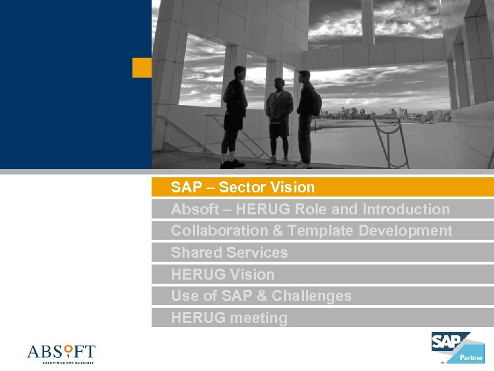SAP – Sector Vision Absoft – HERUG Role and Introduction Collaboration & Template Development
