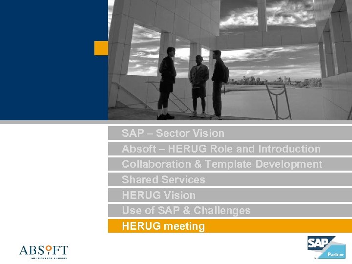 SAP – Sector Vision Absoft – HERUG Role and Introduction Collaboration & Template Development