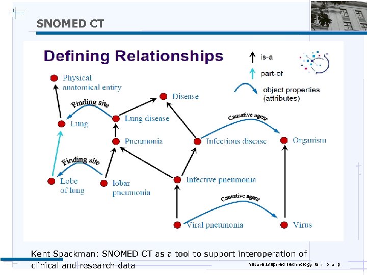 SNOMED CT Kent Spackman: SNOMED CT as a tool to support interoperation of Nature