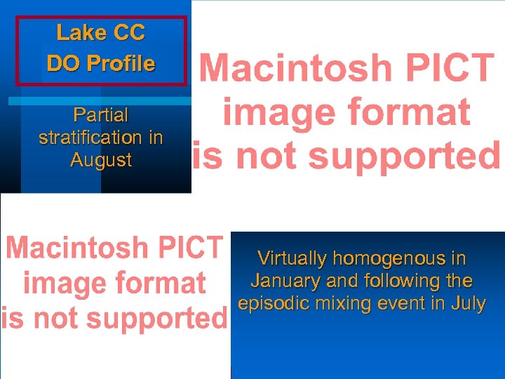 Lake CC DO Profile Partial stratification in August Virtually homogenous in January and following