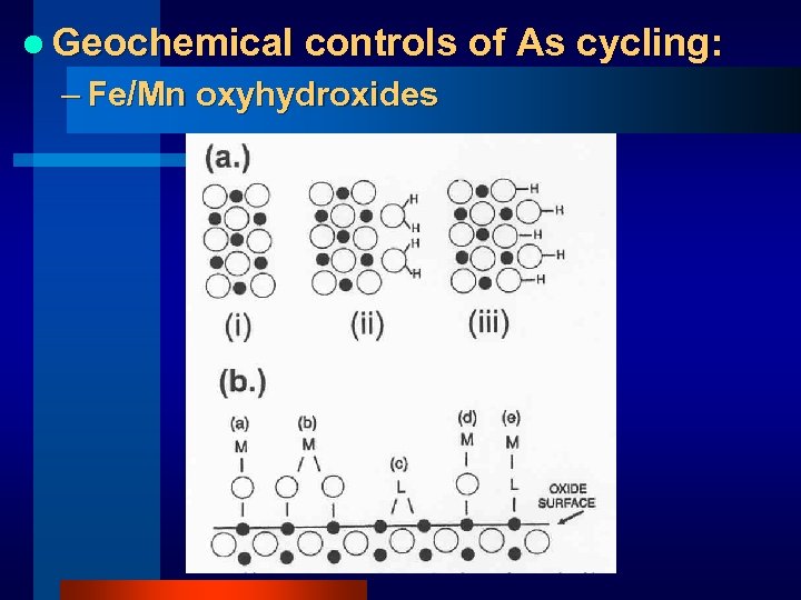 l Geochemical controls of As cycling: – Fe/Mn oxyhydroxides 