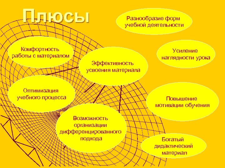 Плюсы Разнообразие форм учебной деятельности Комфортность работы с материалом Эффективность усвоения материала Оптимизация учебного