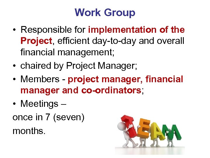 Work Group • Responsible for implementation of the Project, efficient day-to-day and overall financial