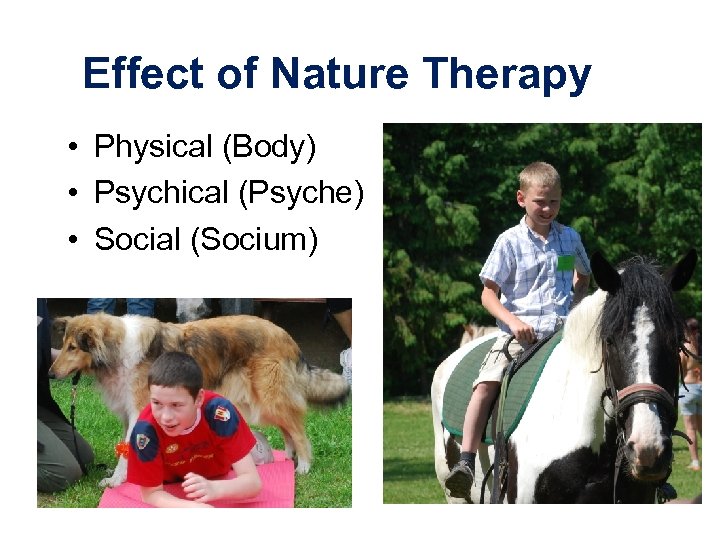 Effect of Nature Therapy • Physical (Body) • Psychical (Psyche) • Social (Socium) 