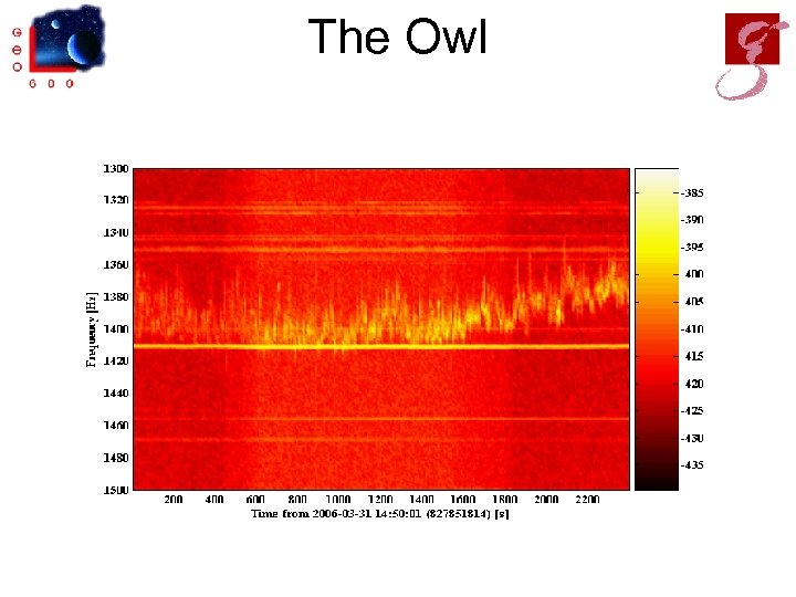 The Owl 