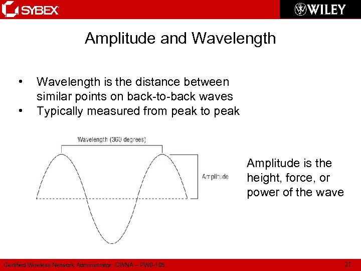 Amplitude and Wavelength • • Wavelength is the distance between similar points on back-to-back