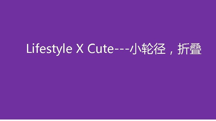 Lifestyle X Cute---小轮径，折叠 
